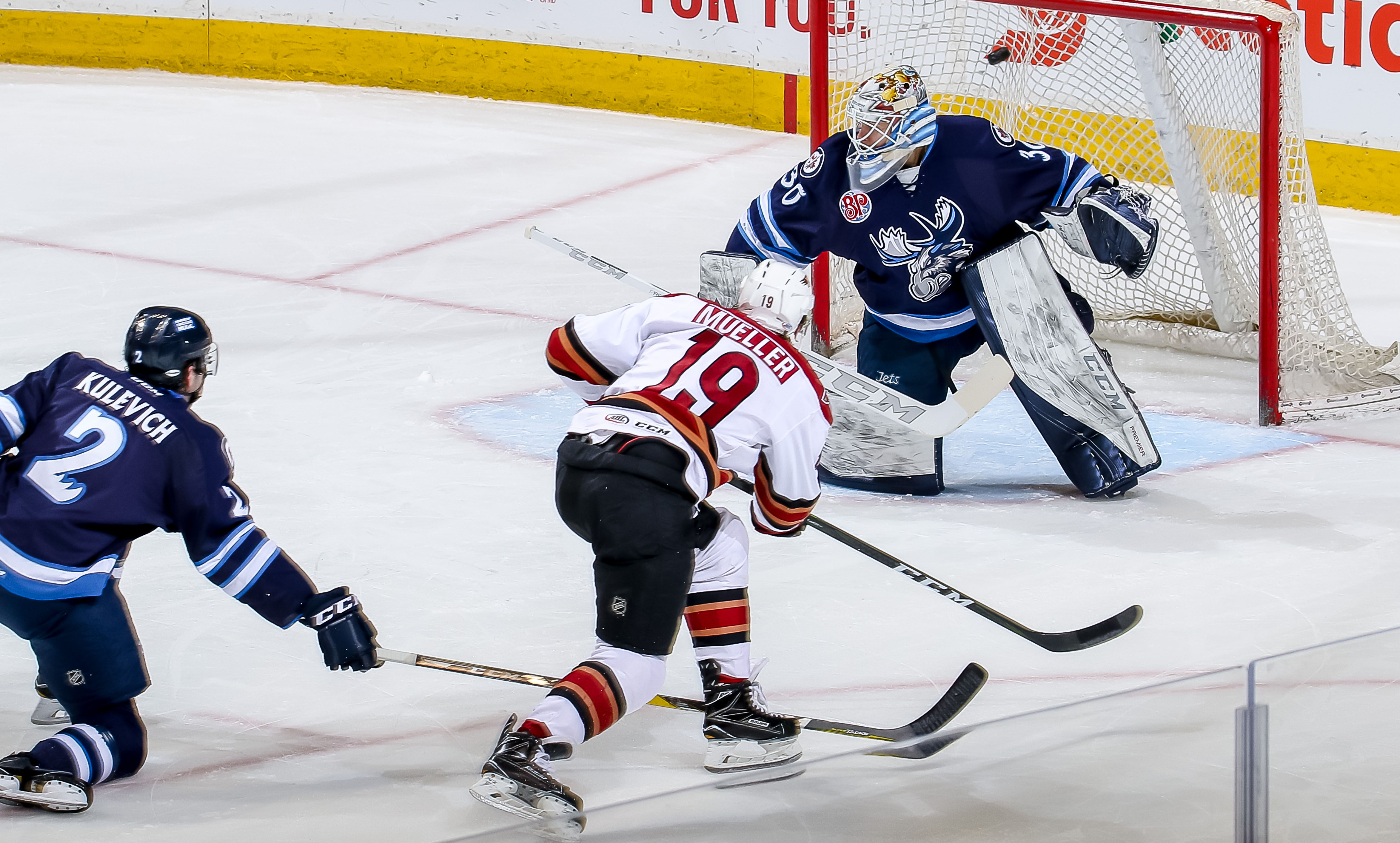 Manitoba Moose Seating Chart