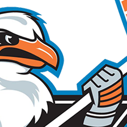 PREVIEW: Gulls, Roadrunners Meet On Fan Appreciation Night