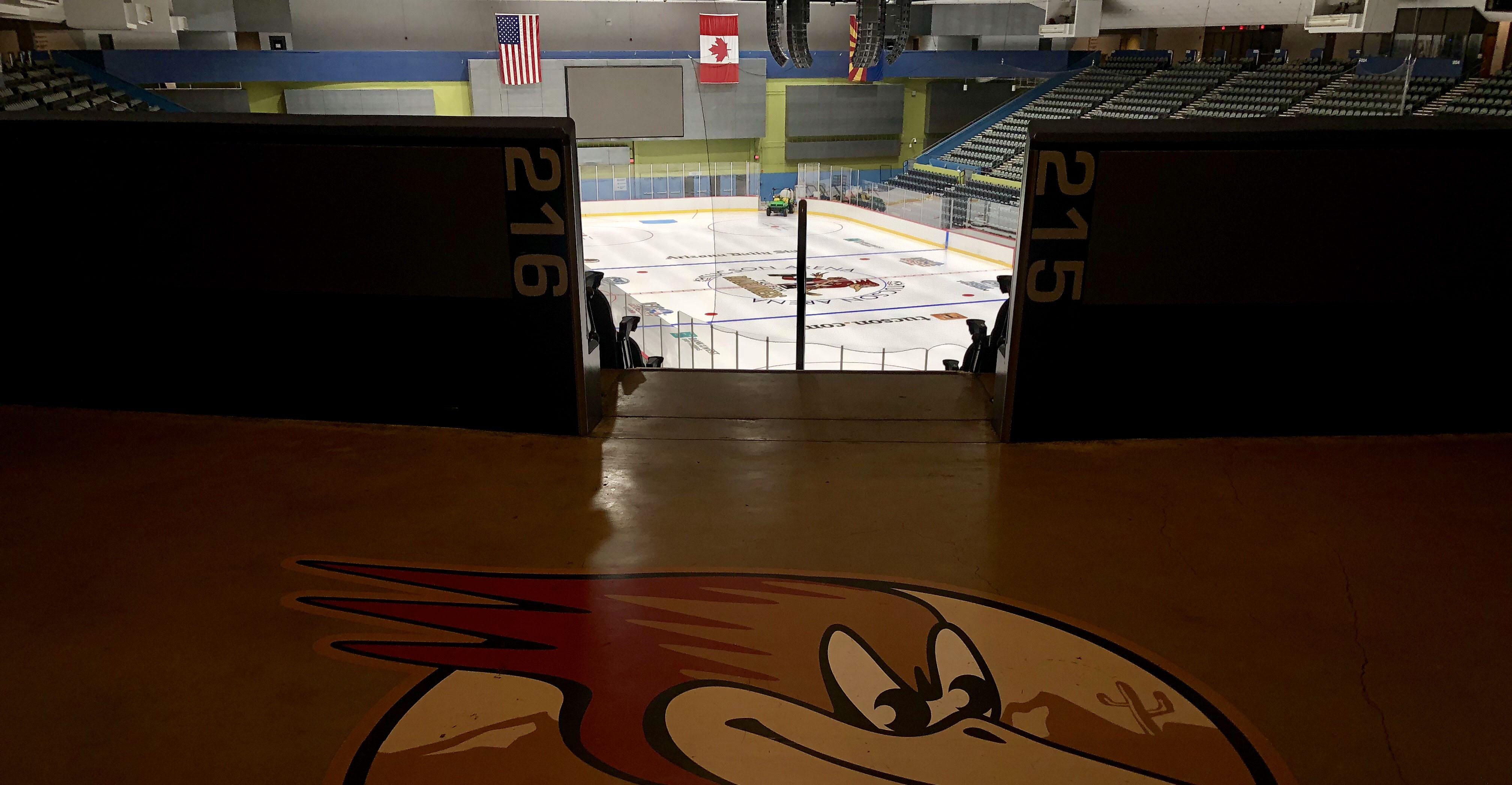 Roadrunners Home For Six Games At Tucson Arena In March 