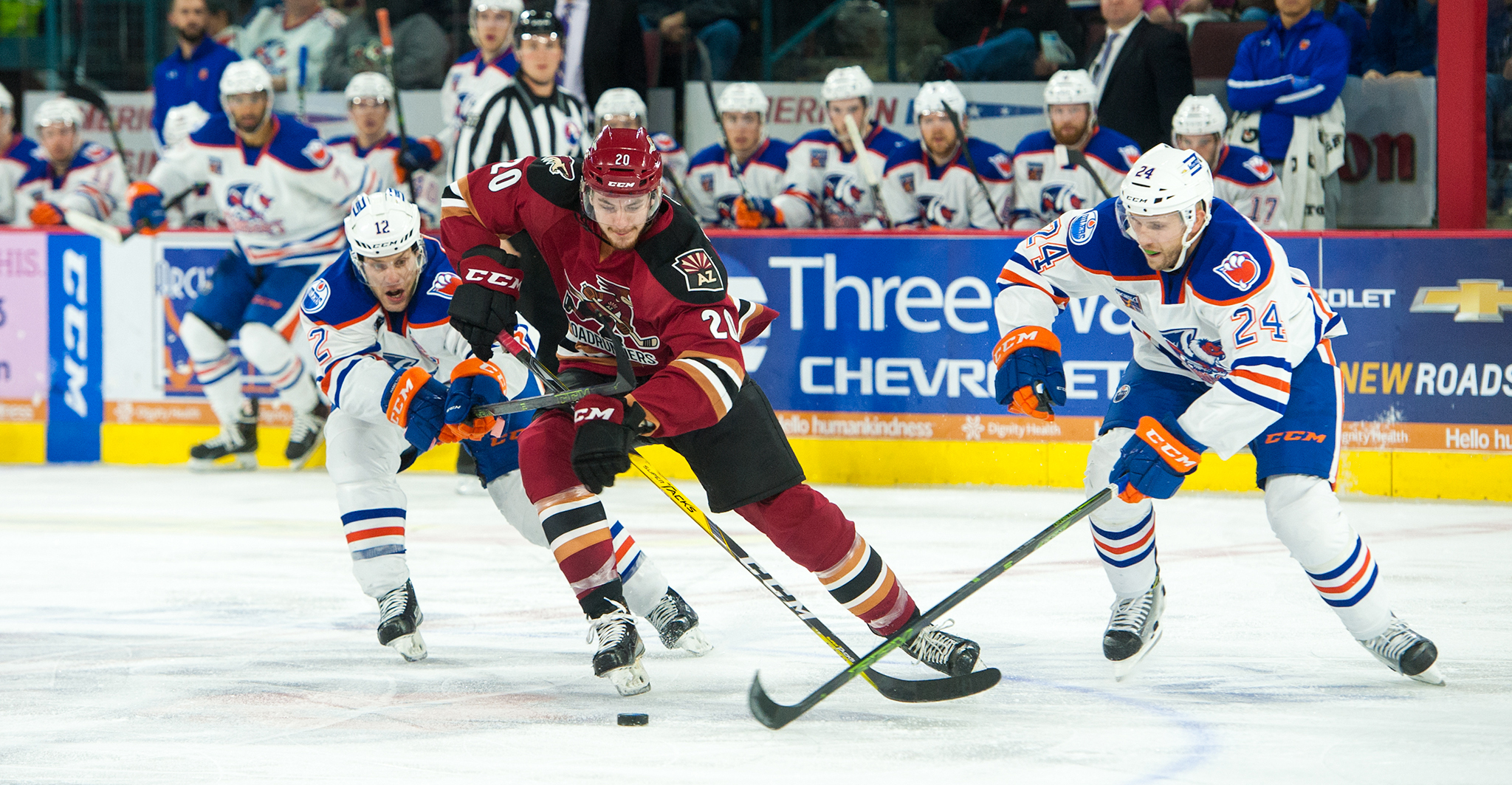 The Official Website Of The Tucson Roadrunners: NEWS & STATS